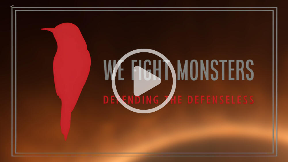 Fight Sex Trafficking